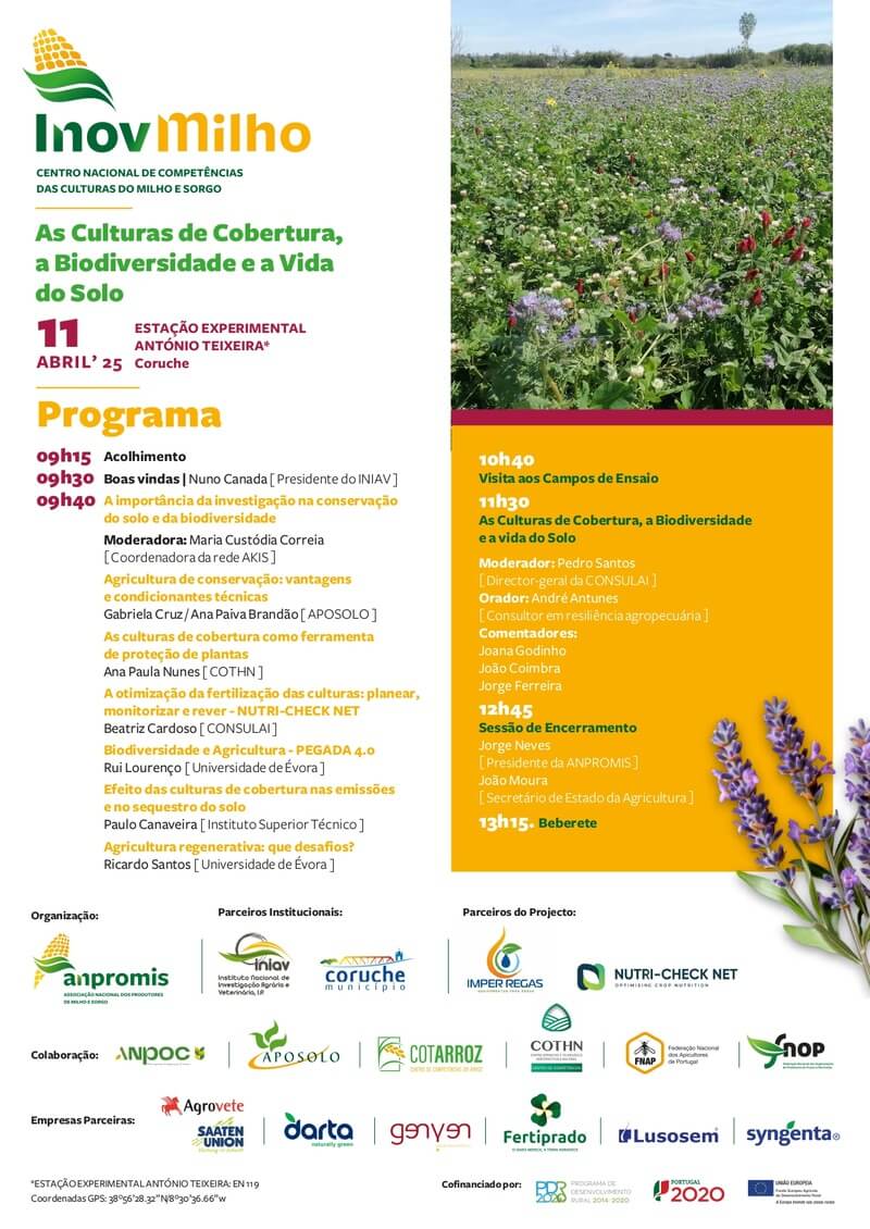 As culturas de cobertura, a biodiversidade e a vida do solo